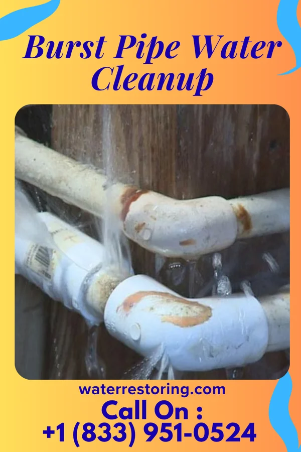 Burst Pipe Water Cleanup in Amery, WI