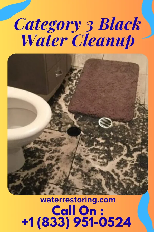 Category 3 Black Water Cleanup in Amery, WI