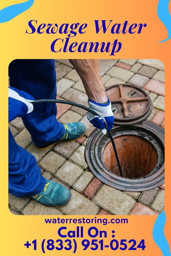 Sewage Water Cleanup in Amery, WI